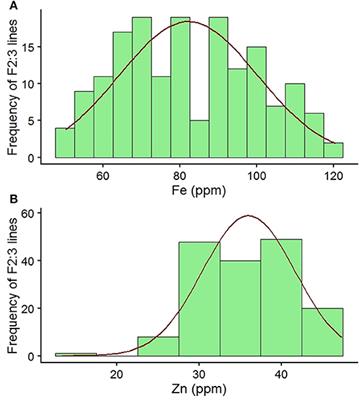 Genome-Wide SNP Discovery and Mapping QTLs for Seed Iron and Zinc Concentrations in Chickpea (Cicer arietinum L.)